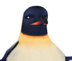 Adult Penguins